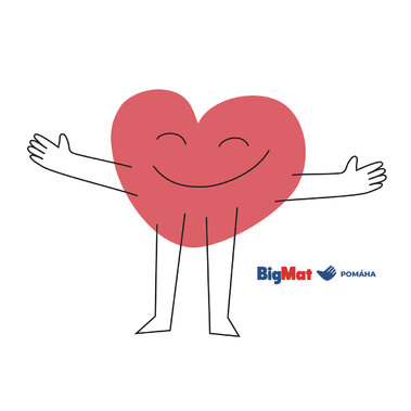 Nadácia BigMat